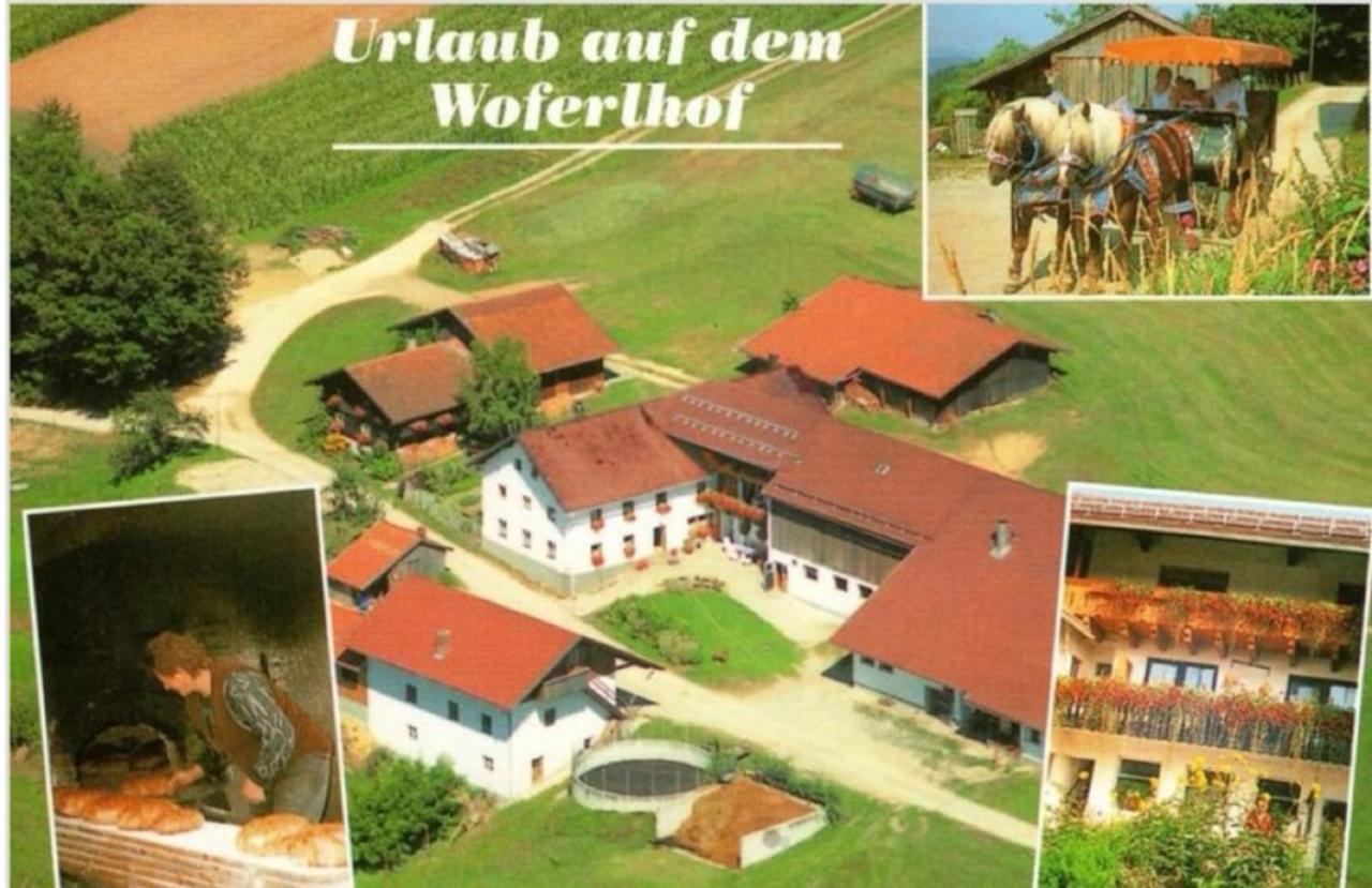 Woferlhof, Ferienhof Boxhorn Böbrach Exteriör bild