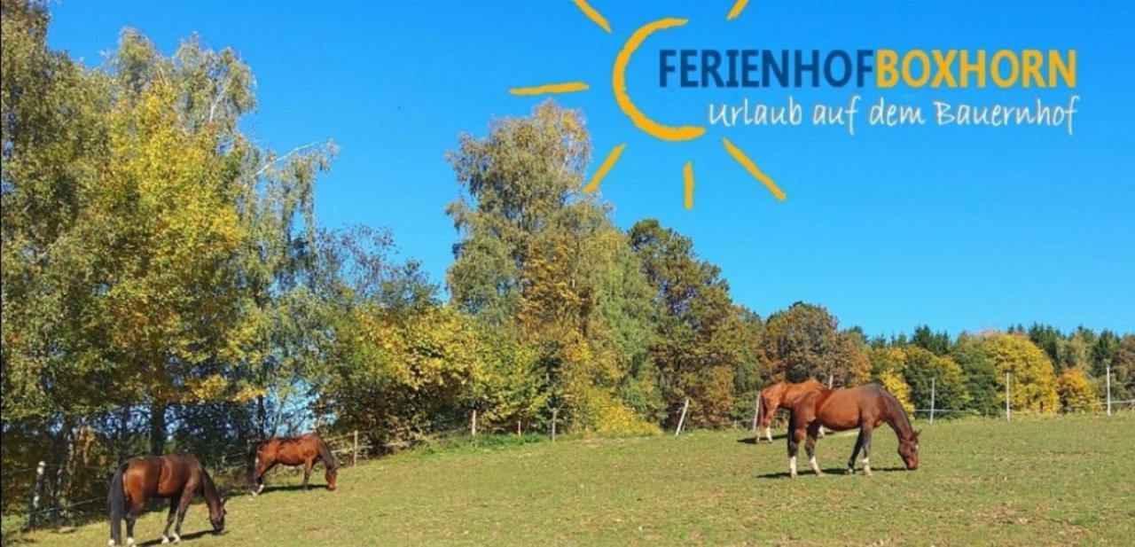 Woferlhof, Ferienhof Boxhorn Böbrach Exteriör bild