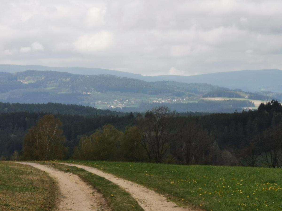Woferlhof, Ferienhof Boxhorn Böbrach Exteriör bild