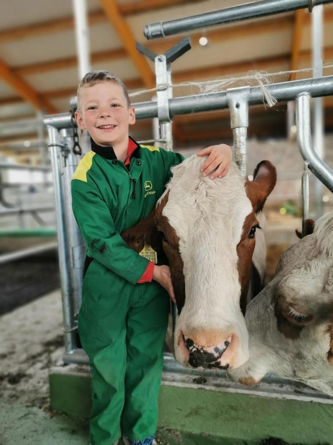 Woferlhof, Ferienhof Boxhorn Böbrach Exteriör bild