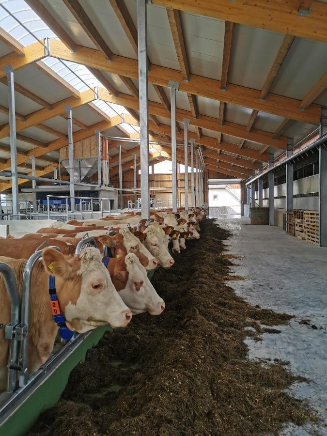 Woferlhof, Ferienhof Boxhorn Böbrach Exteriör bild